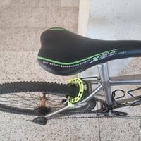 bicicletta Rewel in titanio