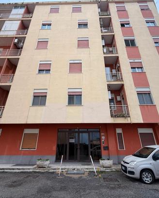 CPL Eucalipto - Cantina di 10 mq