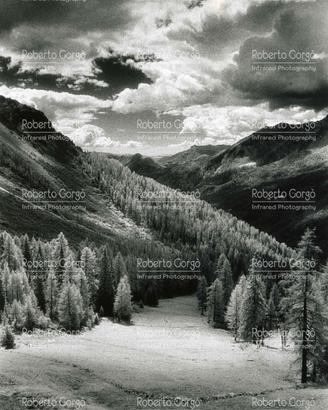 Fotografia Dolomiti Col Verde Infrarosso 30X42