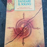 Danzare il sogno