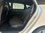 Immagine 7
