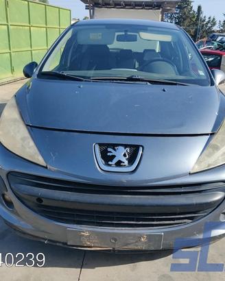 PEUGEOT 207 WA, WC 1.4 73CV 06-13 ricambi-