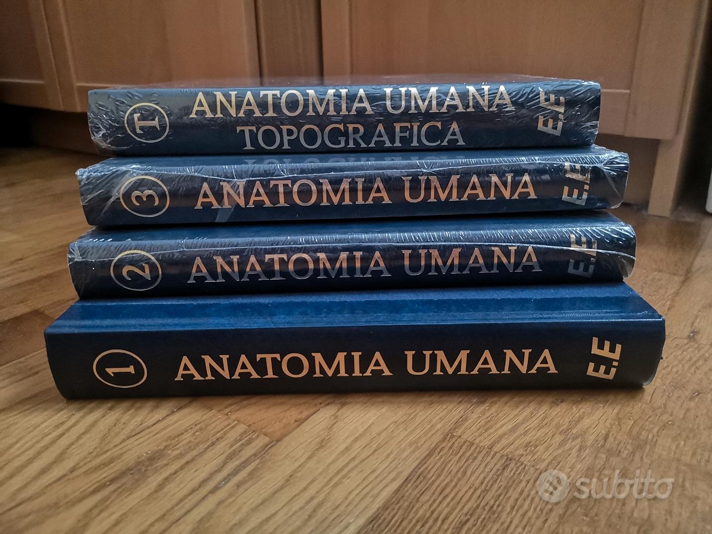 Trattato di Anatomia Umana Anastasi - Anatomy Bag Plus