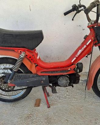 atala califfone 