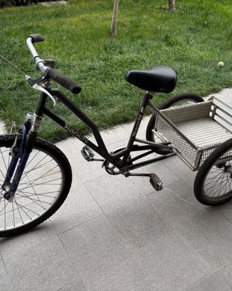 Bici 3 ruote