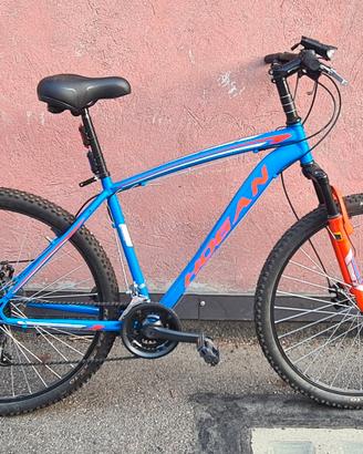 Coppia biciclette