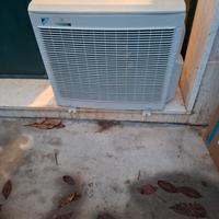 climatizatore daikin