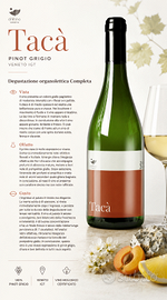 Tacà Pinot Grigio Veneto IGT