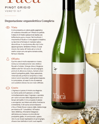 Tacà Pinot Grigio Veneto IGT