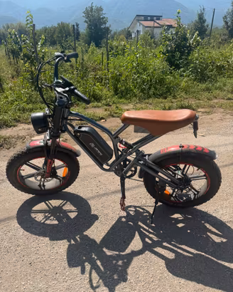 Bici elettrica