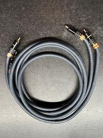 Cavi rca RAMM AUDIO