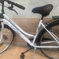 Bicicletta da città Cruise 28” con portapacchi