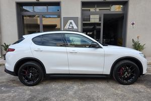 Alfa Romeo Stelvio 2.2 210 CV AT8 Q4 Business T...