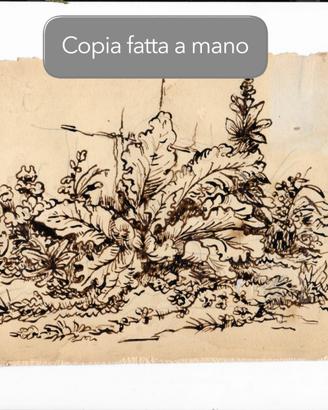Copia disegno Ronzoni, inchiostro  e carta antica