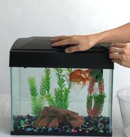 Acquario 20L con mobiletto e accessori