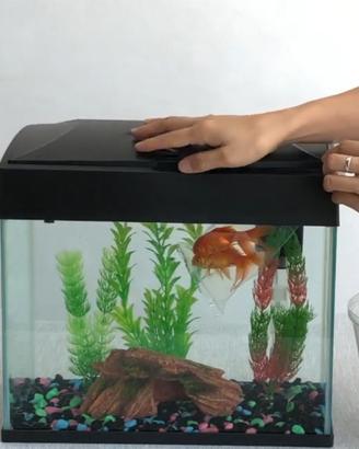 Acquario 20L con mobiletto e accessori