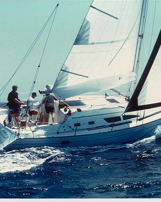 Barca a vela 11 m
