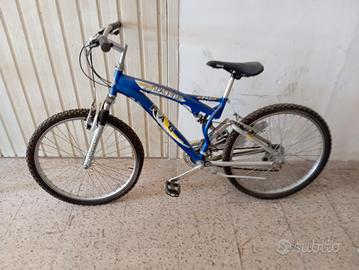 bicicletta 