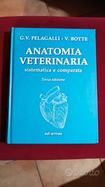 Anatomia Veterinaria sistemica e comparata Vol II