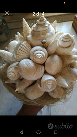 Bouquet sposa conchiglie