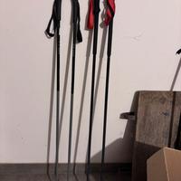 Bastoni fondo e sci alpinismo