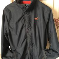 Hollister uomo giacca L