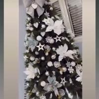Natale albero