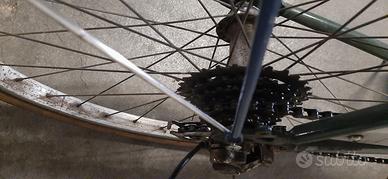 Bici passeggio
