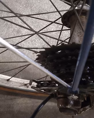 Bici passeggio