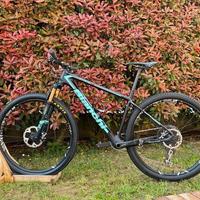 Bianchi Methanol MTB