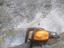 Immagine 2