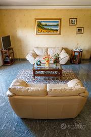 Divani NATUZZI vera pelle