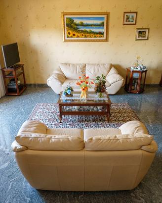 Divani NATUZZI vera pelle