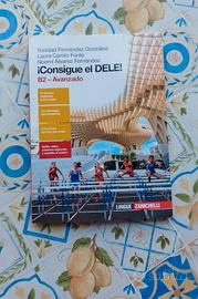 Libro preparazione DELE B2 Consigue el DELE - Zani