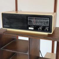 per gli amanti della radio