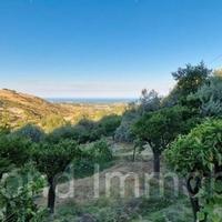 Terreno agricolo 12.000 mq a piedimonte etneo