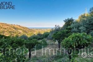 Terreno agricolo 12.000 mq a piedimonte etneo