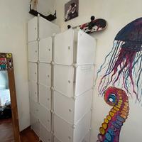 Organizzatore di contenitori a cubo con ante.