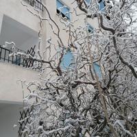 Appartamento BIFAMILIARE periodo invernale