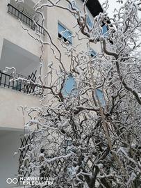 Appartamento BIFAMILIARE periodo invernale