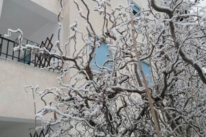 Appartamento BIFAMILIARE periodo invernale