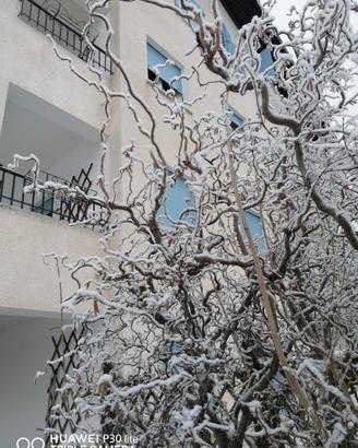 Appartamento BIFAMILIARE periodo invernale