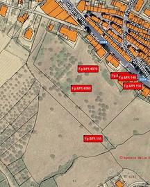 Terreno di 6500 m² a Castel Frentano