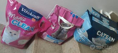 lettiera per gatti