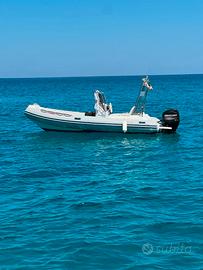 Gommone Jolly King 490 – con Mercury Pro 40/60