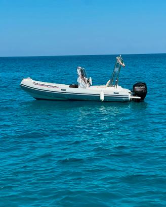 Gommone Jolly King 490 – con Mercury Pro 40/60