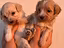 Immagine 24