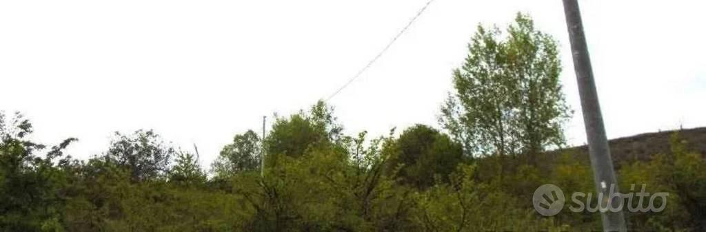 Immobile in asta di 10133 m² a Pignola - Altro