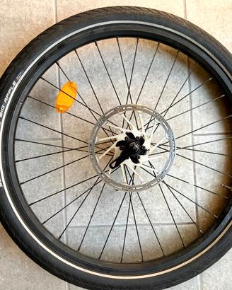 Ruota anteriore bici 24"