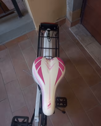 Bicicletta 20"